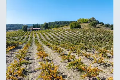 3750 W Highway 46, Templeton, CA 93465 - Photo 5