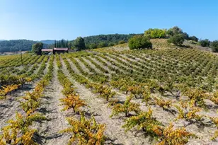 3750 W Hwy 46, Templeton, CA 93465 - Photo 5