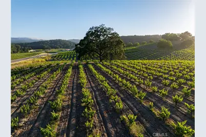 3750 W Highway 46, Templeton, CA 93465 - Photo 5