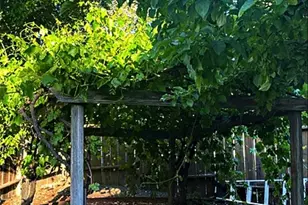 8425 Azucena, Atascadero, CA 93422 - Photo 45