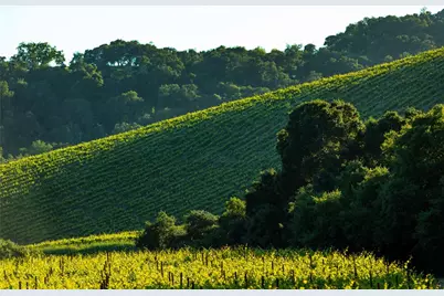 0 Adelaida Road, Paso Robles, CA 93446 - Photo 9