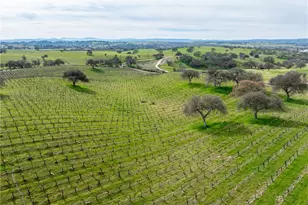 4774 Mill Rd, Paso Robles, CA 93446 - Photo 13