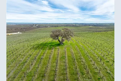 4774 Mill Road, Paso Robles, CA 93446 - Photo 15
