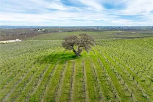 4774 Mill Rd, Paso Robles, CA 93446 - Photo 15