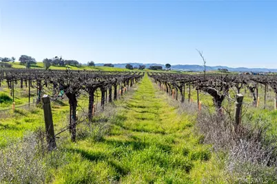 4774 Mill Road, Paso Robles, CA 93446 - Photo 69