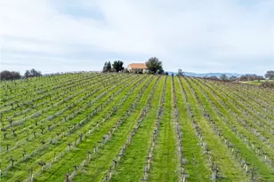 4774 Mill Rd, Paso Robles, CA 93446 - Photo 7