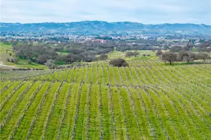 4774 Mill Rd, Paso Robles, CA 93446 - Photo 17