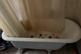 5340 Palma, Atascadero, CA 93422 - Photo 9