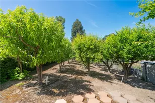 1655 Barley Grain, Paso Robles, CA 93446 - Photo 55