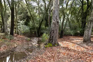 13700 Santa Lucia, Atascadero, CA 93422 - Photo 43