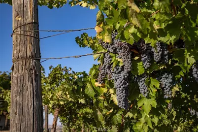 7010 Wilderness Lane, Paso Robles, CA 93446 - Photo 67