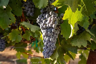 7010 Wilderness Lane, Paso Robles, CA 93446 - Photo 49