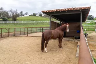 805 Spring Creek Way, Templeton, CA 93465 - Photo 49