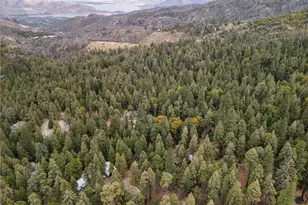 10667 Conifer, Wofford Heights, CA 93285 - Photo 7