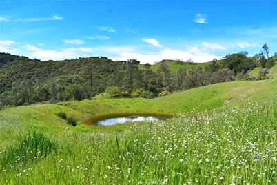 0 Cypress Mountain Drive, Paso Robles, CA 93465 - Photo 7