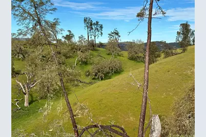 3260 Timberline Drive, Paso Robles, CA 93446 - Photo 5