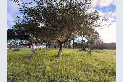 6126 Charing, Cambria, CA 93428 - Photo 1