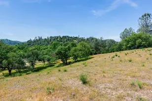 1535 Parkhill Rd, Santa Margarita, CA 93453 - Photo 37