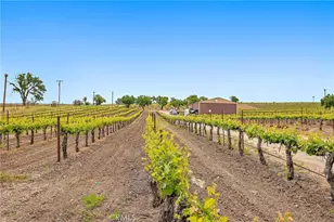 5575 El Pomar, Templeton, CA 93465 - Photo 15