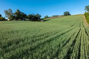 5250 5260 Vineyard, Paso Robles, CA 93446 - Photo 69