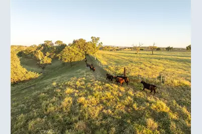 5385 & 5375 Camp 8, Paso Robles, CA 93446 - Photo 67