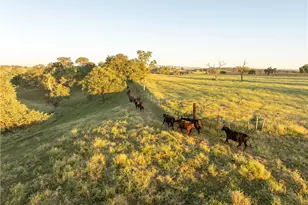 5385 & 5375 Camp 8, Paso Robles, CA 93446 - Photo 67