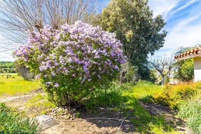 5335 Monterey, Paso Robles, CA 93446 - Photo 31