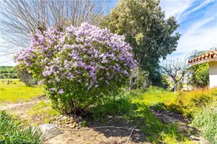 5335 Monterey, Paso Robles, CA 93446 - Photo 31