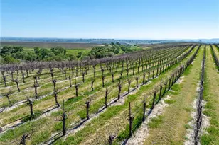 7310 Estrella Rd, San Miguel, CA 93451 - Photo 43