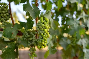 2143 Buena Vista Ave, Gilroy, CA 95020 - Photo 25