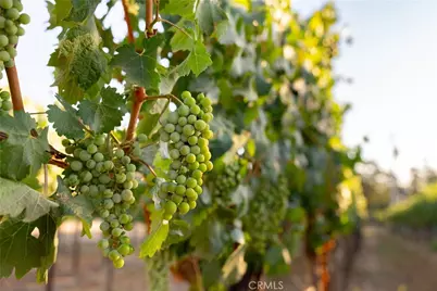 2143 Buena Vista Avenue, Gilroy, CA 95020 - Photo 27