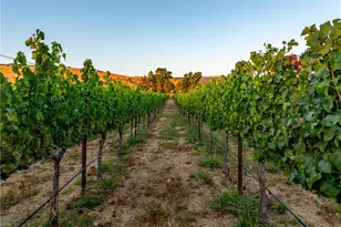 2143 Buena Vista Ave, Gilroy, CA 95020 - Photo 41