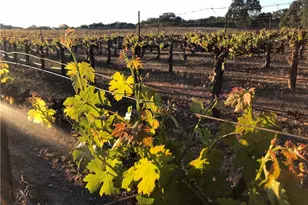 53600 Bradley Lockwood, Bradley, CA 93426 - Photo 57