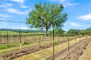 53600 Bradley Lockwood, Bradley, CA 93426 - Photo 63