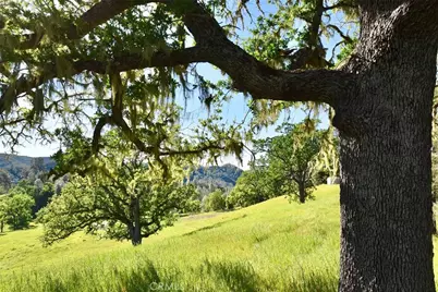 46651 Sapaque Valley, Bradley, CA 93426 - Photo 27