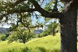 46651 Sapaque Valley, Bradley, CA 93426 - Photo 27