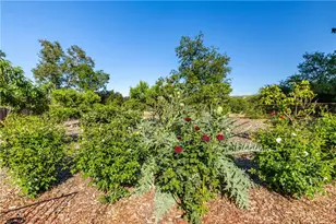 4805 Sycamore, Atascadero, CA 93422 - Photo 53