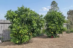 1082 Cortez Ct, San Luis Obispo, CA 93405 - Photo 29