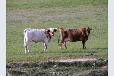 3470 Ranchita Cyn Rd, San Miguel, CA 93451 - Photo 15