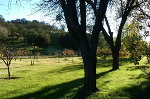 3470 Ranchita Canyon Rd, San Miguel, CA 93451 - Photo 39