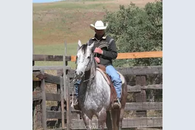 3470 Ranchita Cyn Rd, San Miguel, CA 93451 - Photo 13