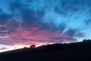 3470 Ranchita Canyon Rd, San Miguel, CA 93451 - Photo 11