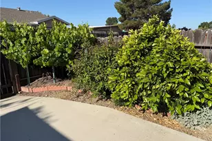 1032 Scott, Paso Robles, CA 93446 - Photo 35