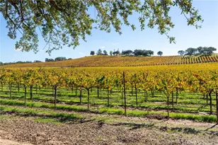 7790 Airport Rd, Paso Robles, CA 93446 - Photo 71
