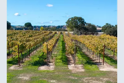 7790 Airport Road, Paso Robles, CA 93446 - Photo 67