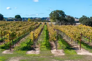 7790 Airport Rd, Paso Robles, CA 93446 - Photo 67