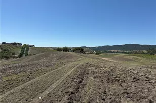 1640 Valley Quail, Paso Robles, CA 93446 - Photo 19