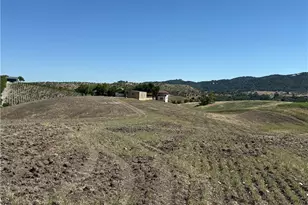 1640 Valley Quail, Paso Robles, CA 93446 - Photo 9