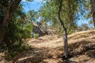 1575 Parkhill Rd, Santa Margarita, CA 93453 - Photo 47
