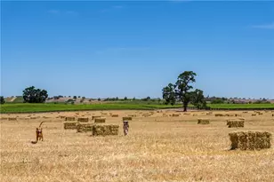 5275 Camp 8 Rd, Paso Robles, CA 93446 - Photo 5
